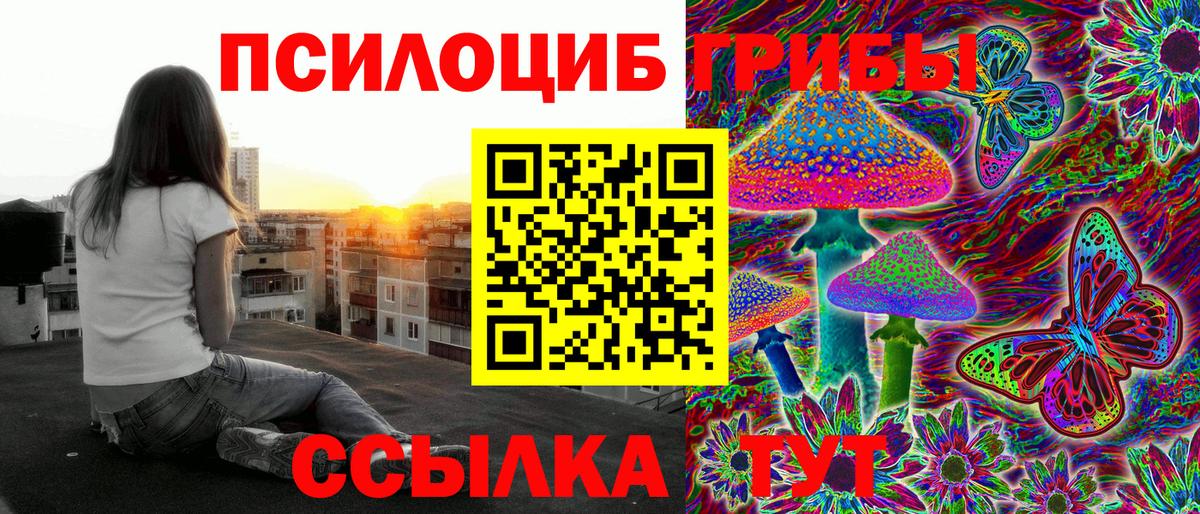 Галлюциногенные грибы Cubensis Электрогорск