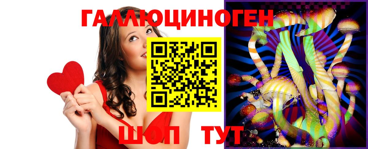 Электрогорск  Псилоцибиновые грибы Psilocybe  Вход с VPN  Псилоцибиновые грибы GOLDEN TEACHER 